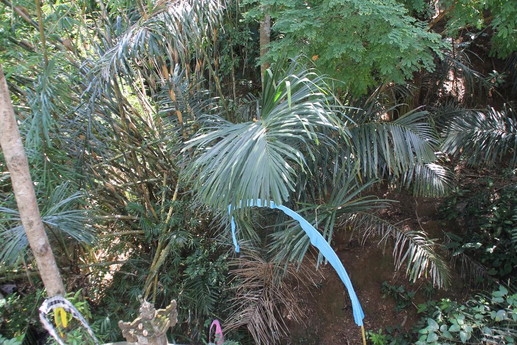 فندق أكواخ بيمبنجان أوبود المظهر الخارجي الصورة